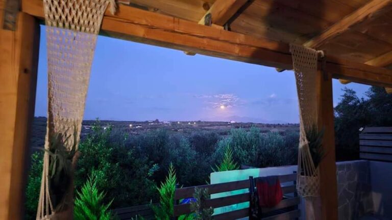 448990351 444006225057450 3185454209989673368 n 768x432