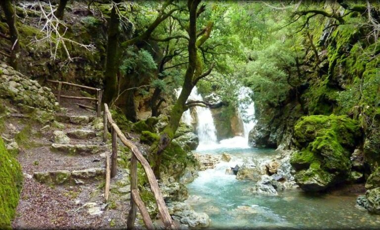 60cb115a13fb8 768x465