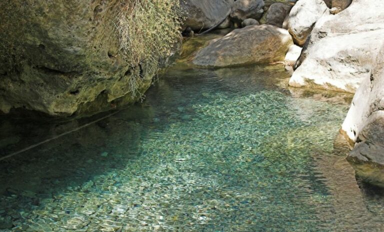 60cb11f720f2d 768x465