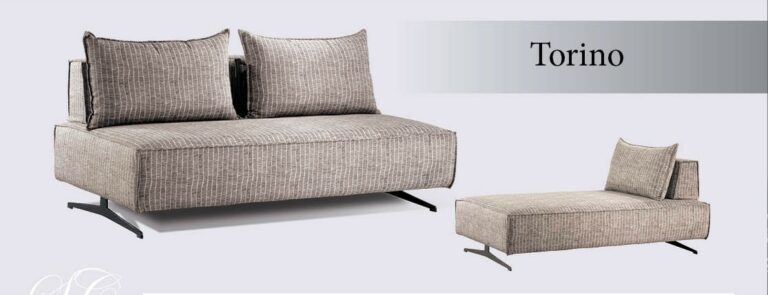 TORINO  768x295