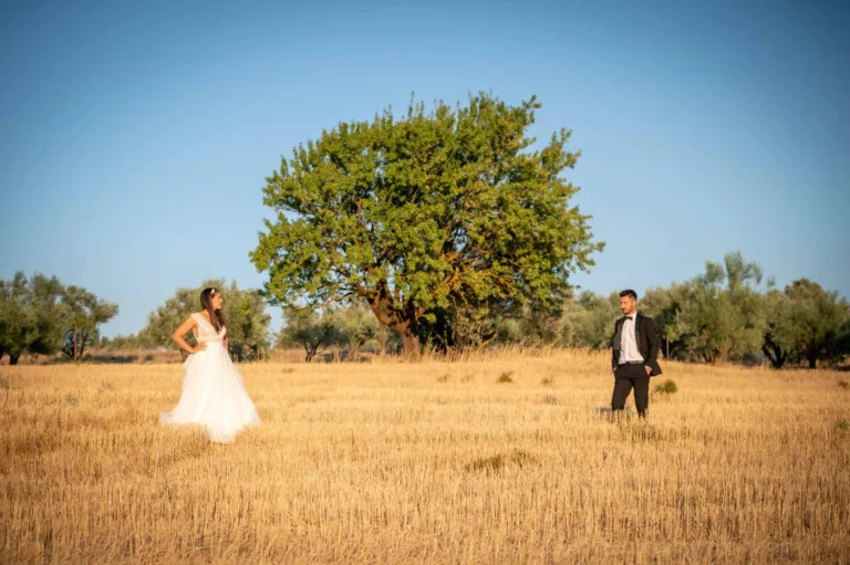 photographisi gamou205 768x511