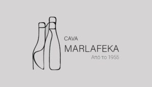 cava logo 300x173